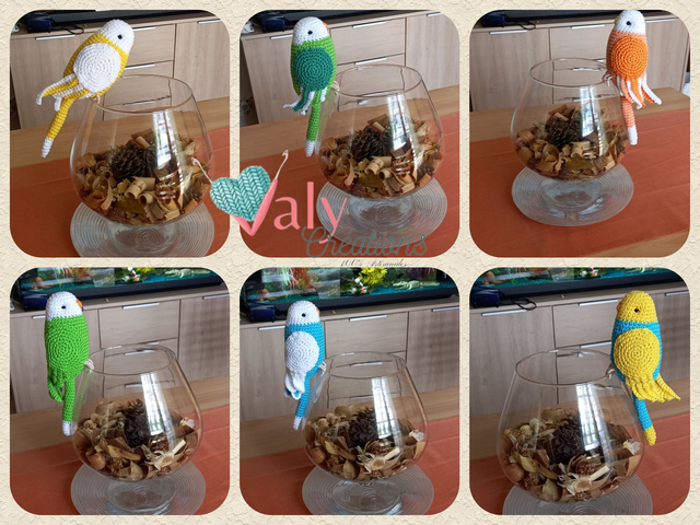 Perruche (sur commande)