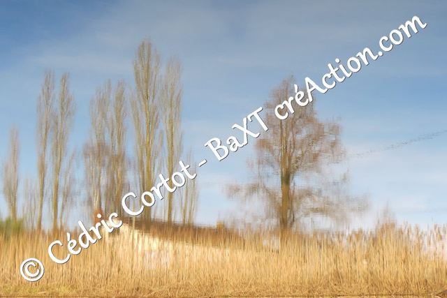 Impression sur alu dibond - Reflets et cours d'Eau (ref 2127)