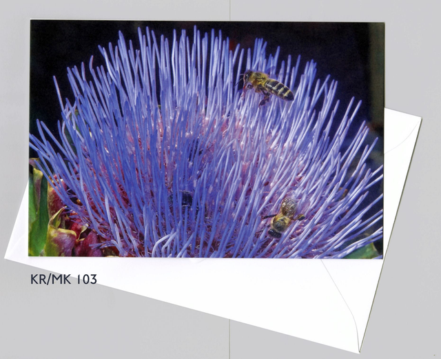  Folded Card : Artichoke and Bees  7.5&quot; x 5&quot; Matt Finish