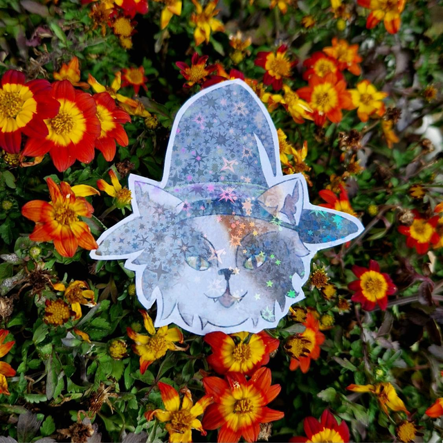 Magnet holographique Chat Calico Sorcier 