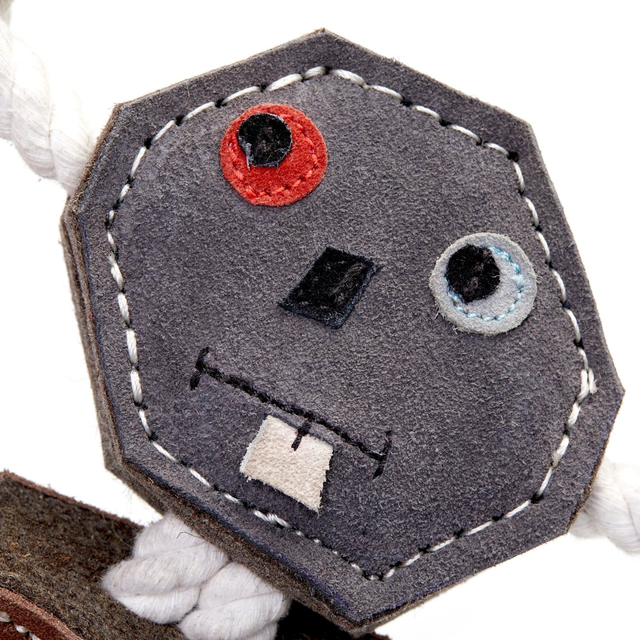 Eco-Friendly Rob the Robot