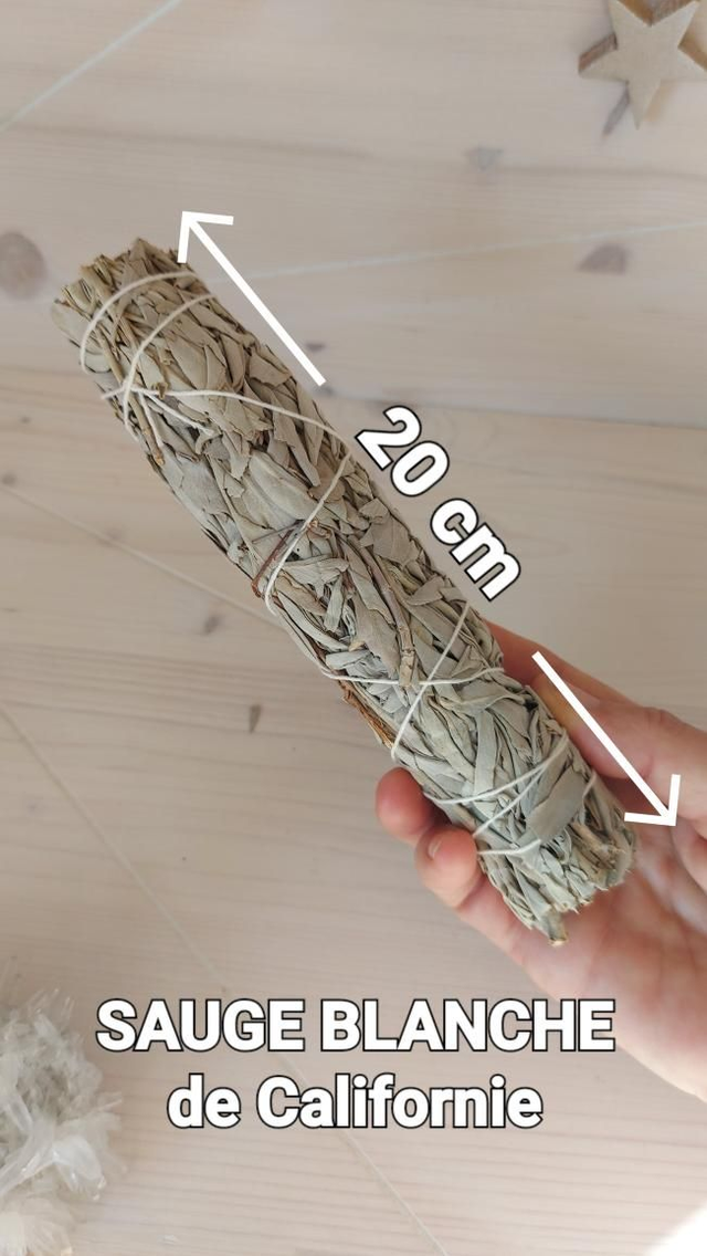 Bâton Sauge Blanche de Californie