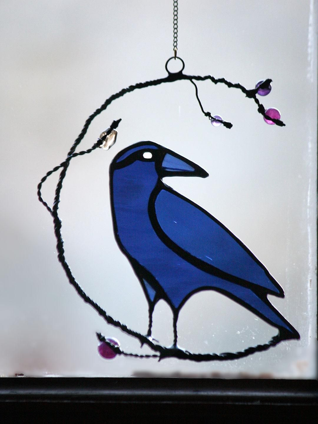 Petit corbeau de nuit