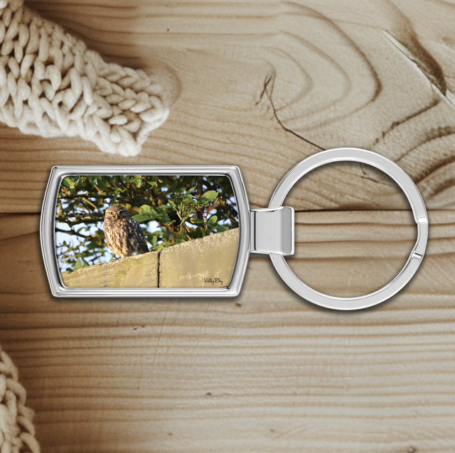 "Little Owl" Keyring  