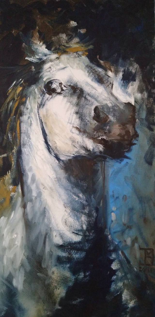 Wit paard