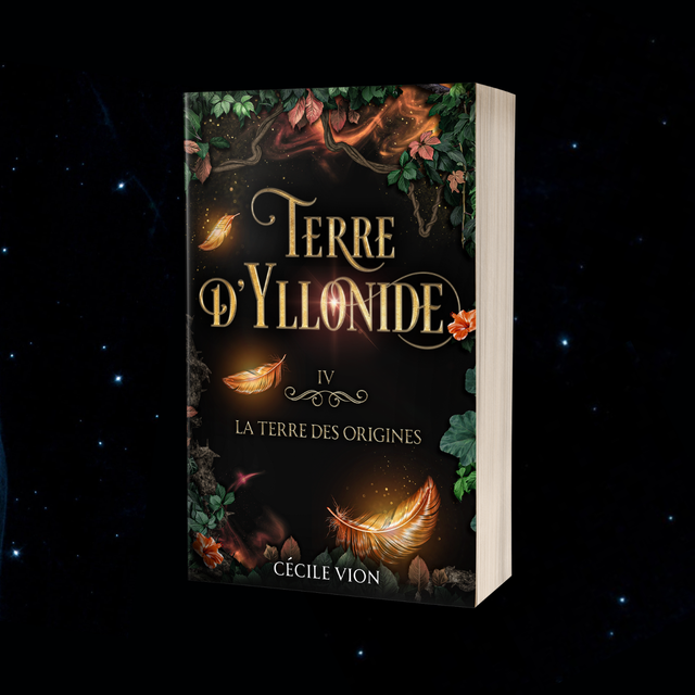 Terre d'Yllonide IV - La terre des origines