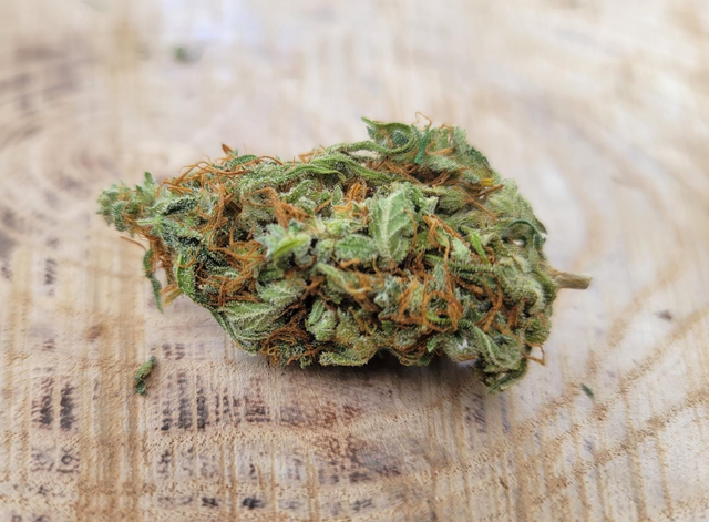 Dream Skunk indoor 10g