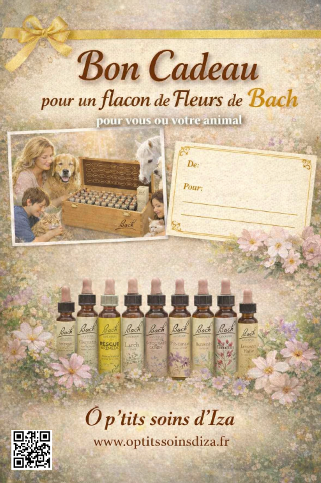 Bon cadeau * Flacon personnalisé de fleurs de Bach à offrir