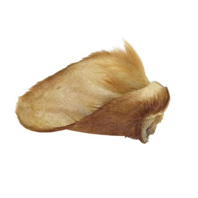 Oreilles de bœuf avec poils