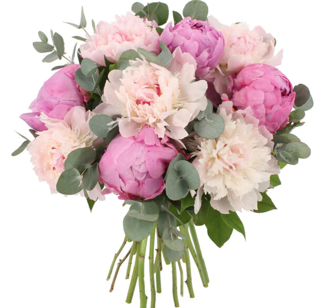 Bouquet de Pivoines d'Alsace