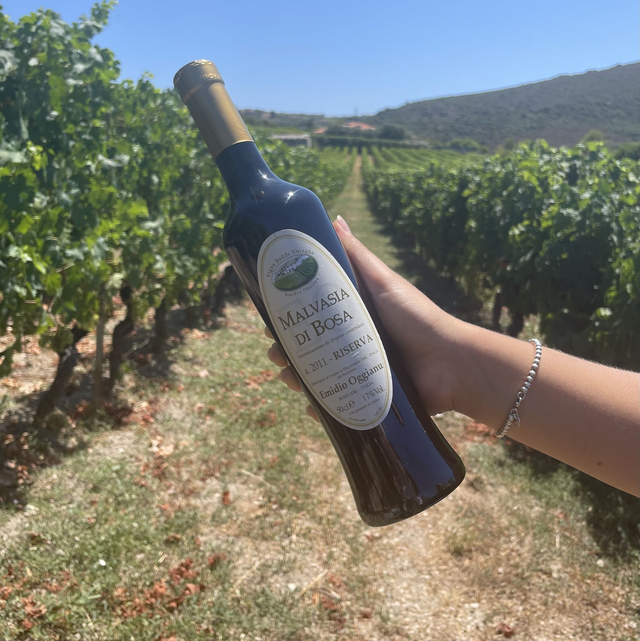 Malvasia di Bosa doc Riserva 2011 (500ml)