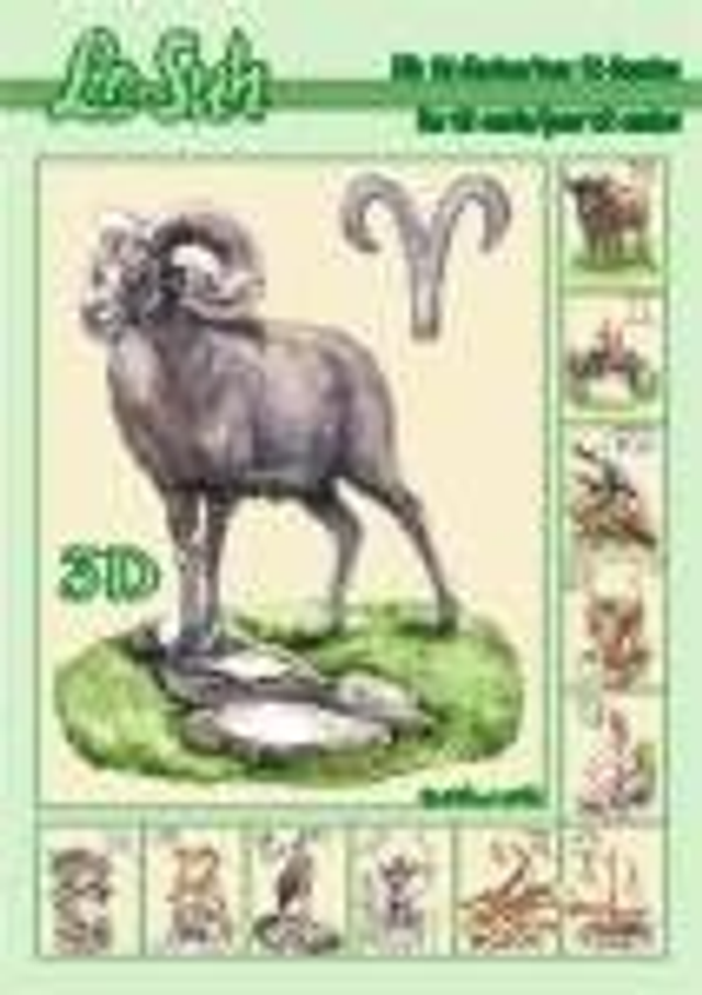 3D Boekje Sterrenbeelden (345601)