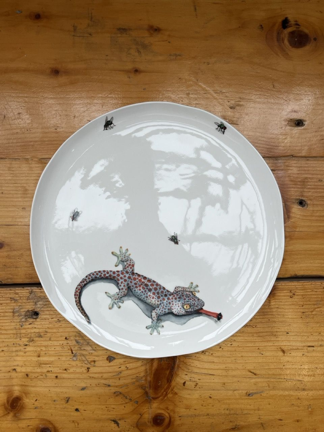 Teller Vulcano groß - Gecko mit Fliegen