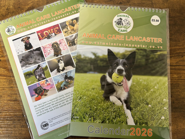 Animal Care 2026 Calendar