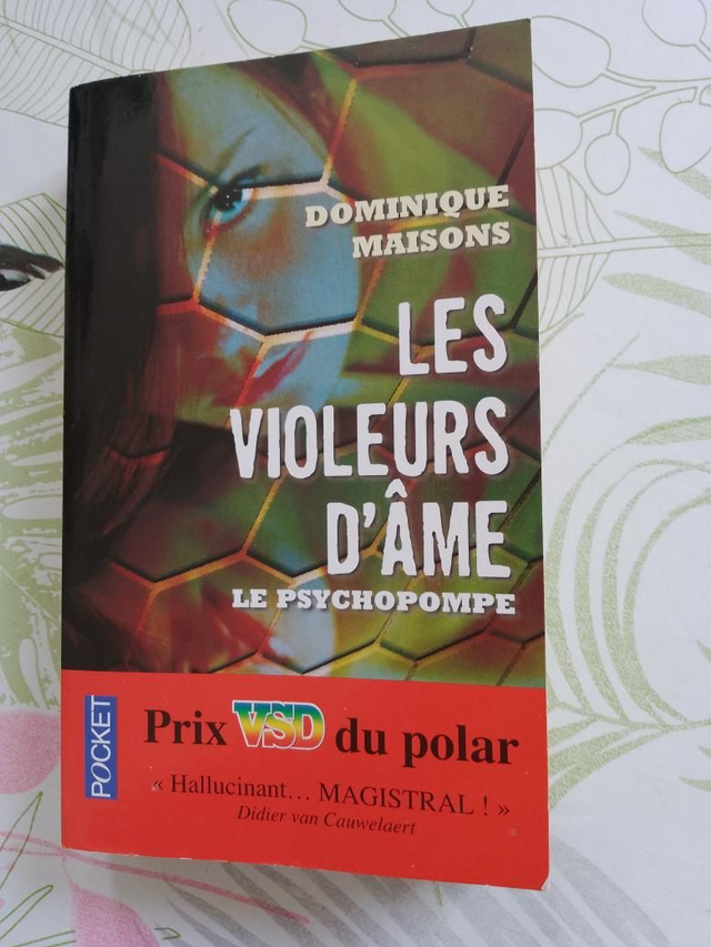 Les voleurs d'âme, Dominique Maisons