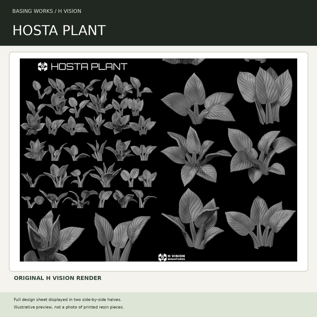 H Vision - Hosta Plant