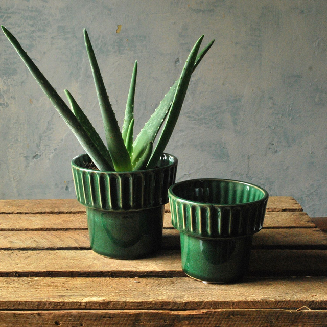 Smooth &amp; Ribbed Pot in Green Glaze