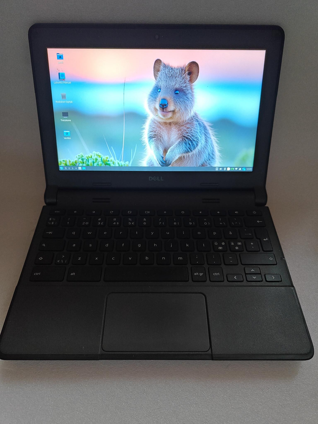 Käytetty Dell Chromebook 11 3120 11.6"