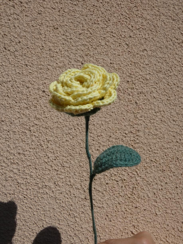 Rose jaune 