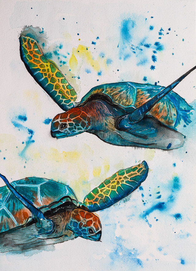Schildkröte - Aquarell - Original