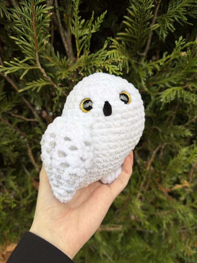 Chouette 🦉