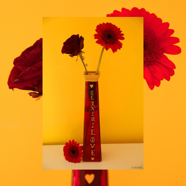 VASE ÉLIXIR DE LOVE