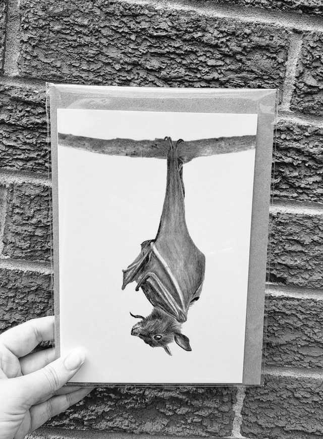 Bat Greetings Card