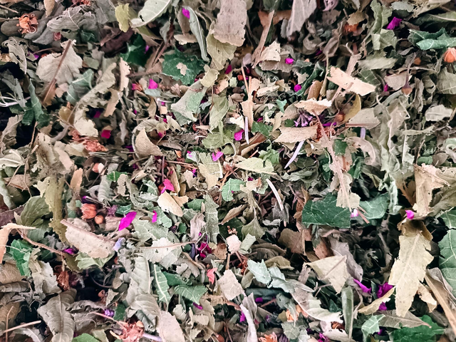 Infusion Le jardin infusé II 