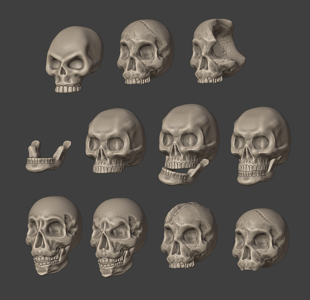 Human Skulls 