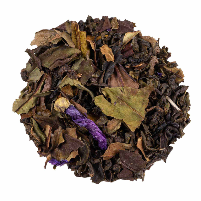 Zomerse Aardbei (Prickly Strawberry)