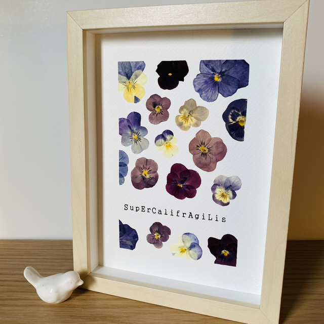 Supercalifragilis pensées sauvages