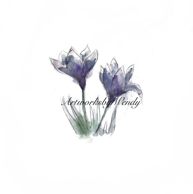 Crocus Watercolour