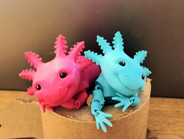 Annabelle the axolotl Jnr