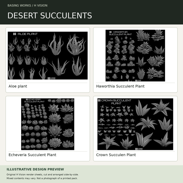 H Vision - Desert Succulents