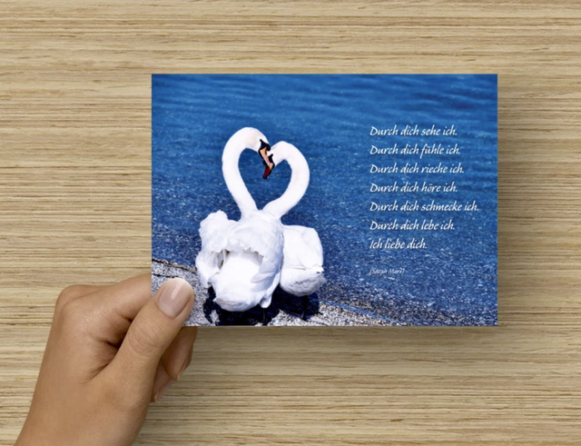 Postkarte Schwäne