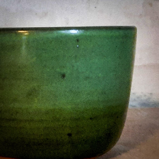 RMNC Fiesta Florentina | G03-FF