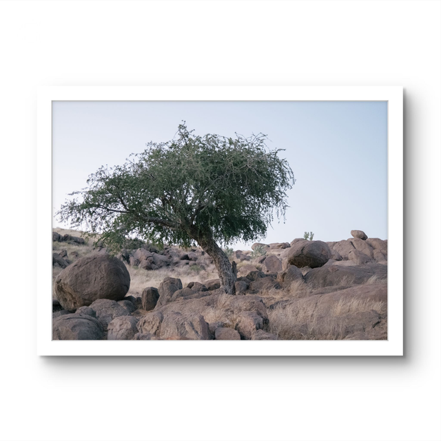 53. x 80. cm: Edition of 10/ 2600 Euro