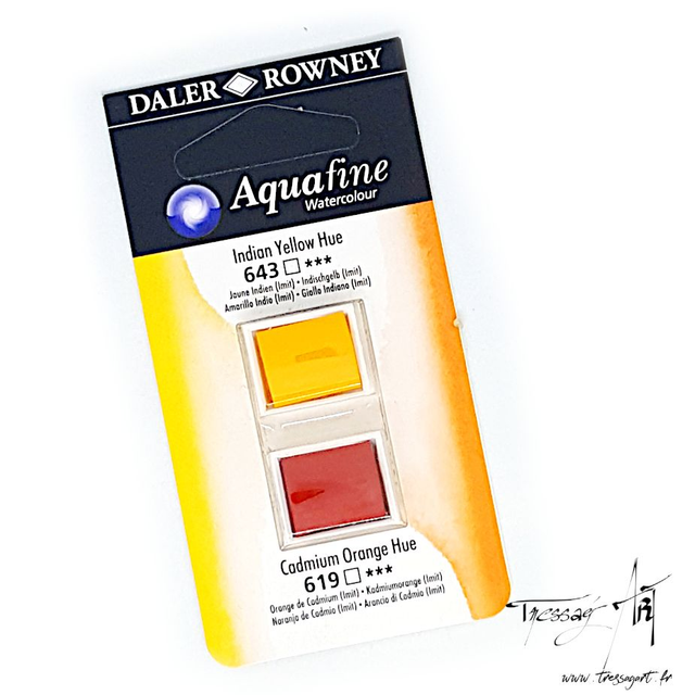 DALER ROWNEY - AQUARELLE DEMI-GODETS par 2 - JAUNE 643 &amp; 619 - CA002643
