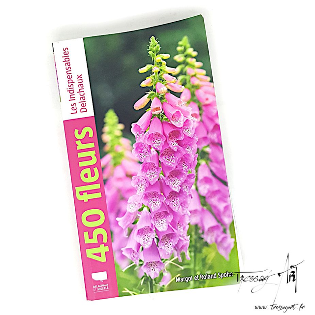LIVRE OCCASION - 450 FLEURS - LO054