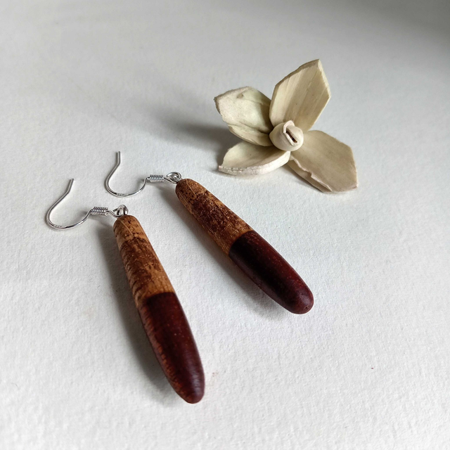 Boucles d'oreilles bicolores