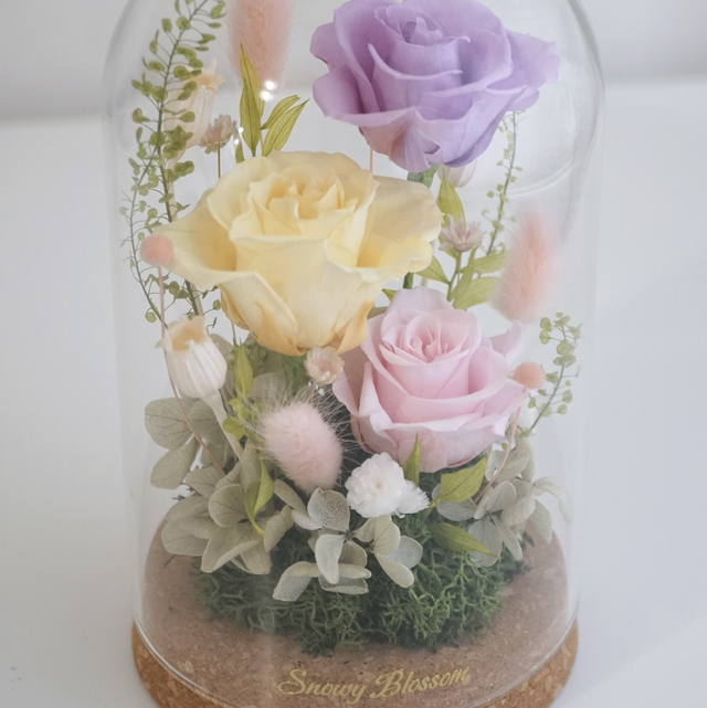 Preserved Flowers Standard Glass Dome (Purple and Yellow rose)