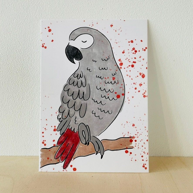 Ansichtkaart grijze roodstaart papegaai, 10 x 15 cm