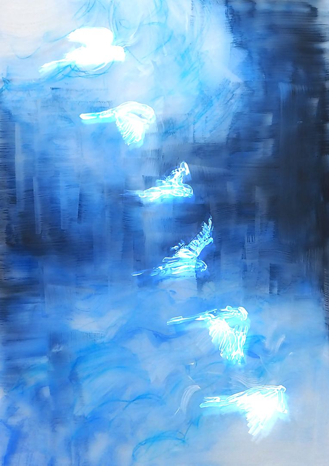 Coastal Kestrel (2025) Sarah Macdonald