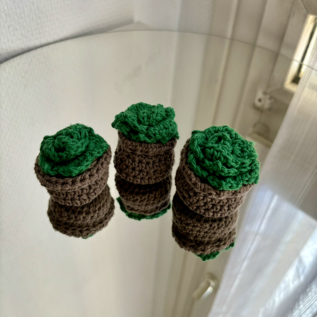 Mini pot - Trio de plantes grasses