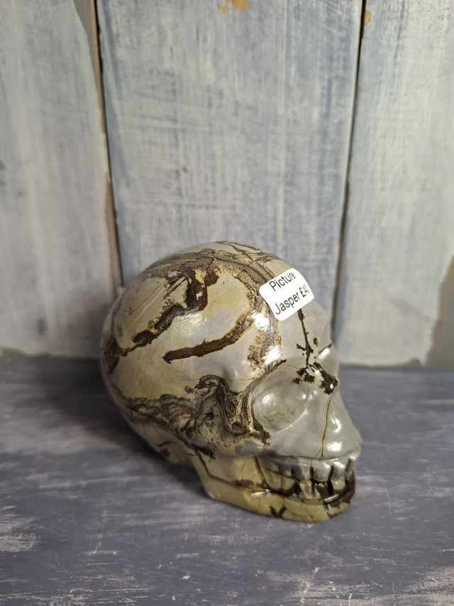 Picture Jasper Skull