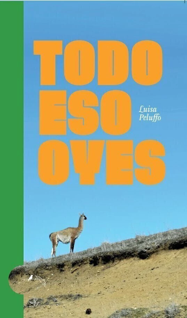 Todo eso oyes - Luisa Peluffo