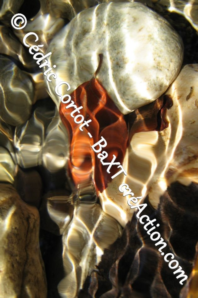 Impression sur alu dibond - Reflets et cours d'Eau (ref 8290 )