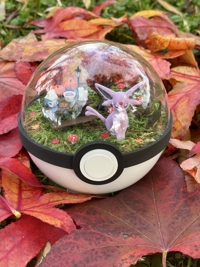🍂 Terrarium Pokémon - Édition Automne - Mentali 