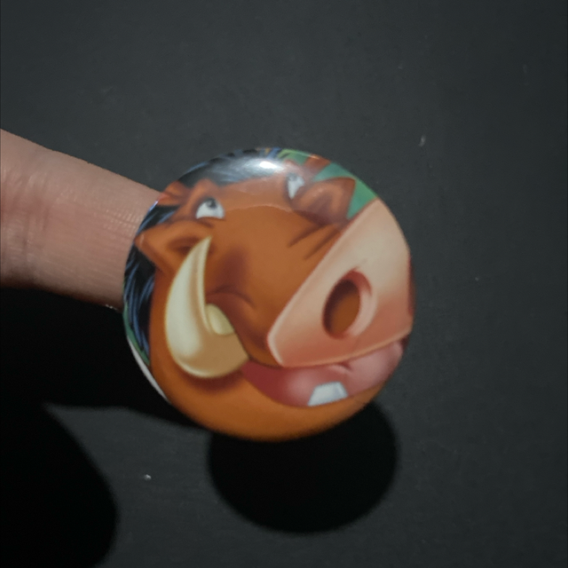 Badge #17