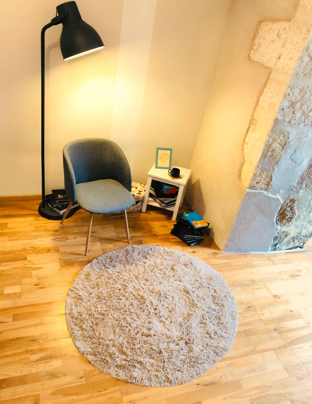 HODYSSEA Tapis RONDOUX Diamètre 120 cm 100% Polyester Poils longs